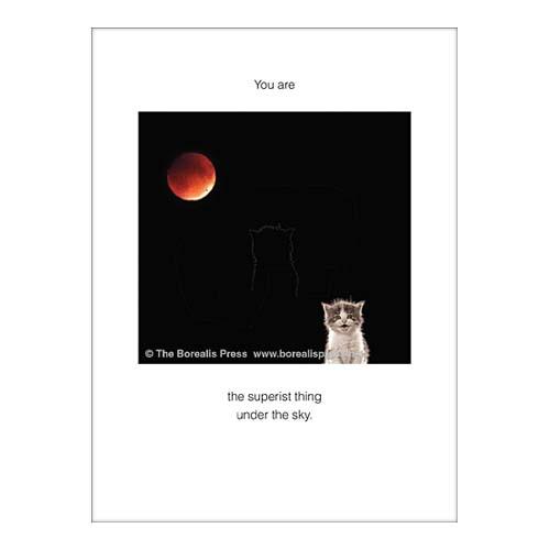 Birthday Card: You Are the Superist