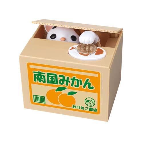 Cat in a Box Coin Bank