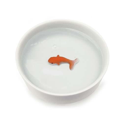 Goldfish Pet Bowl