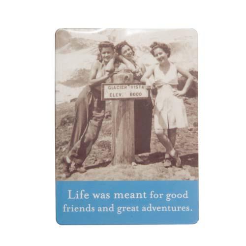 Magnet: Life Was Meant