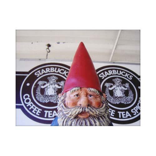  Gnome Seattle Postcard : Starbucks