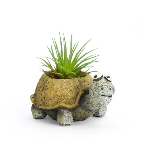 Blobhouse Mini Planter: Tortoise