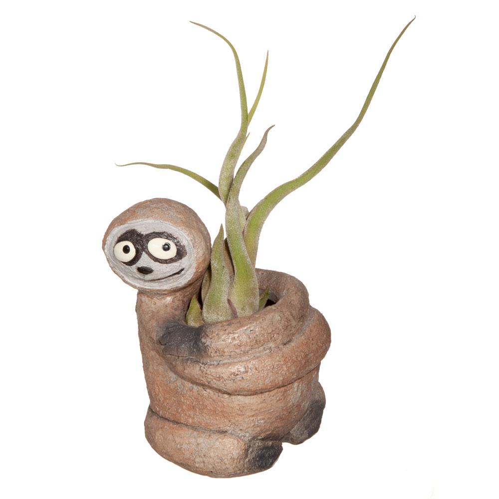  Blobhouse Mini Planter : Sloth