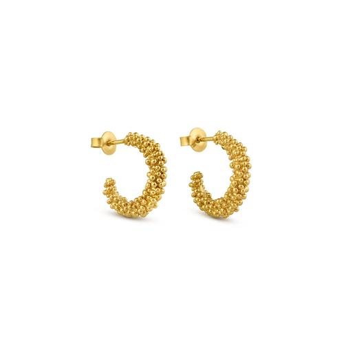 Stardust Earrings: Medium Hoop/Gold
