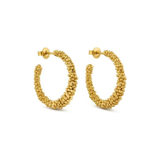 Stardust Earrings: Large Hoop/Gold