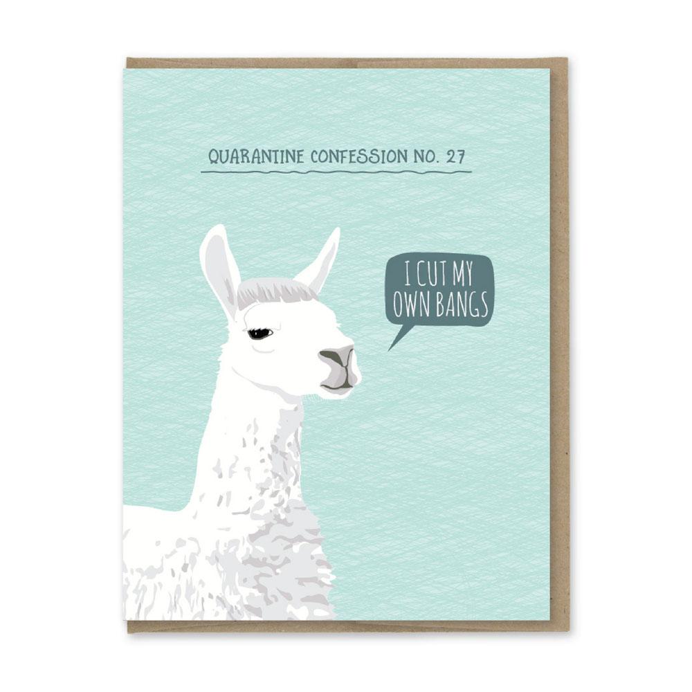 Alpaca Greeting Card Any Occassion /... Recycled Blank Biodegradeable 