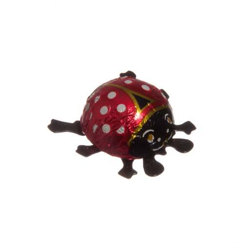 Ladybird Chocolate