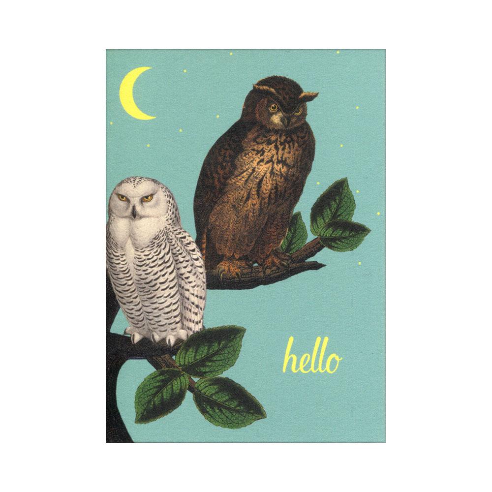  Mini Card : Owls