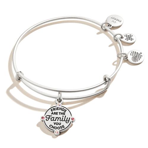 Expandable Bangle: Friends are the Family/Silver