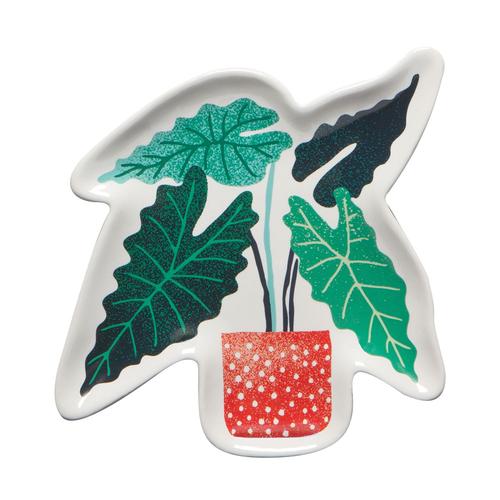 Let It Grow Shaped Dish: Alocasia