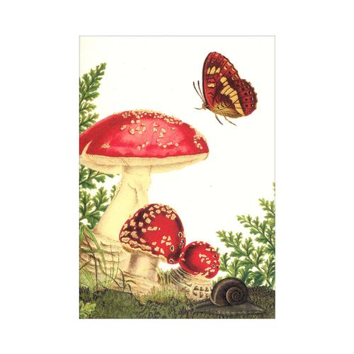 Mini Card: Mushroom