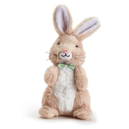 Recordable Bunny