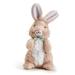 Recordable Bunny