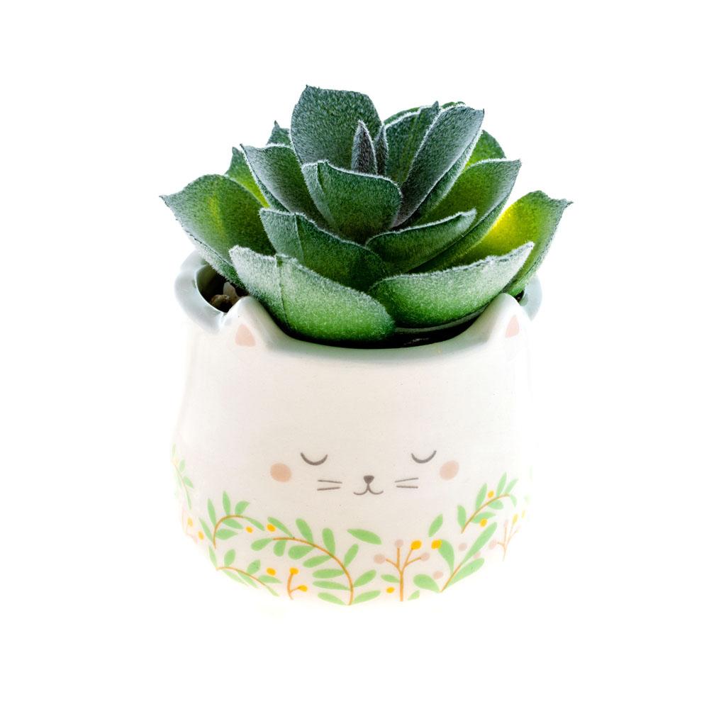  Shaped Succulent Pot : Cat