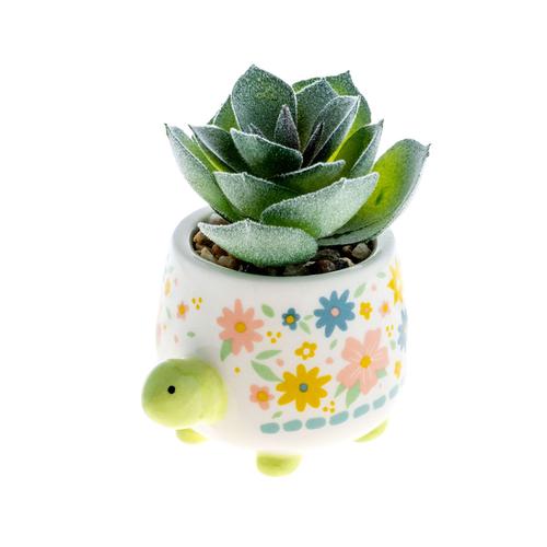 Shaped Succulent Pot: Turtle