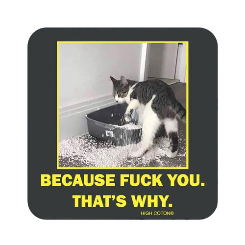 Coaster: Cat/That's Why