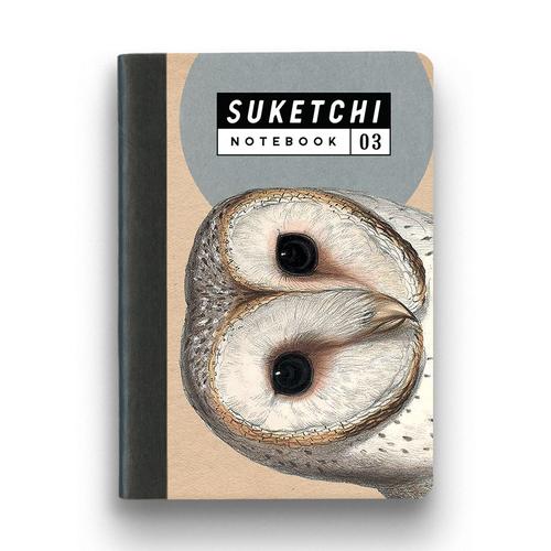 Suketchi Notebook (Small): 03 Barn Owl