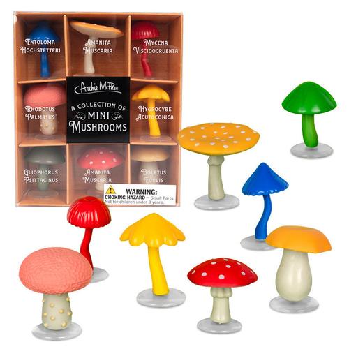 Collection of Mini Mushrooms