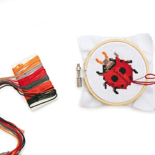 Mini Cross Stitch Embroidery Kit: Ladybug