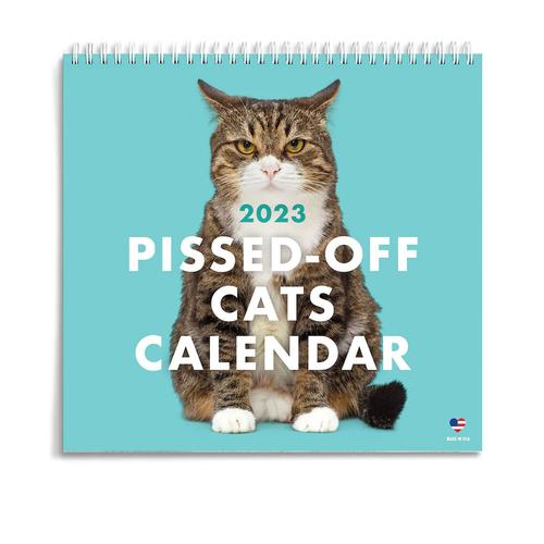 Pissed-Off Cats Calendar: 2023