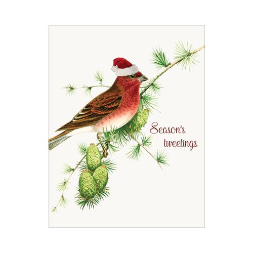 Holiday Card: Season's Tweetings