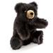  Hand Puppet : Baby Black Bear