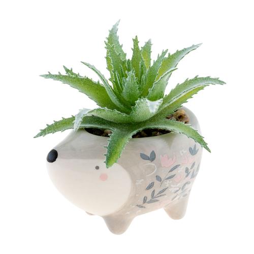 Shaped Succulent Pot: Hedgehog