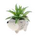  Shaped Succulent Pot : Hedgehog