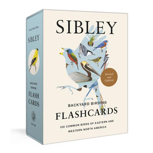 Sibley Backyard Birding Flashcards, Rev. & Upd.