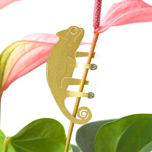Plant Animal: Brass/Chameleon