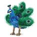  Hand Puppet : Small Peacock