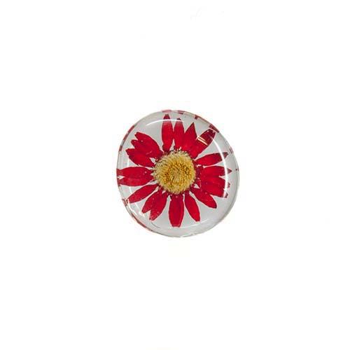 Daisy Magnet- Red
