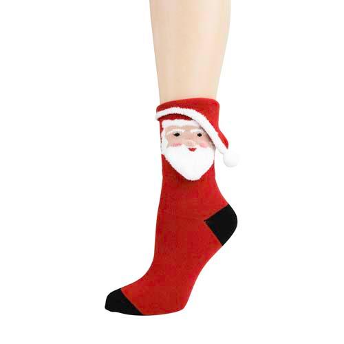 3D Socks: Santa