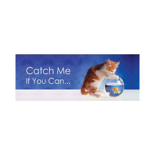 3D Bookmark: Kitten + Goldfish