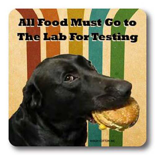 Coaster: Lab for Testing
