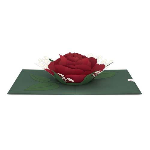 3D Card: Red Rose Bloom