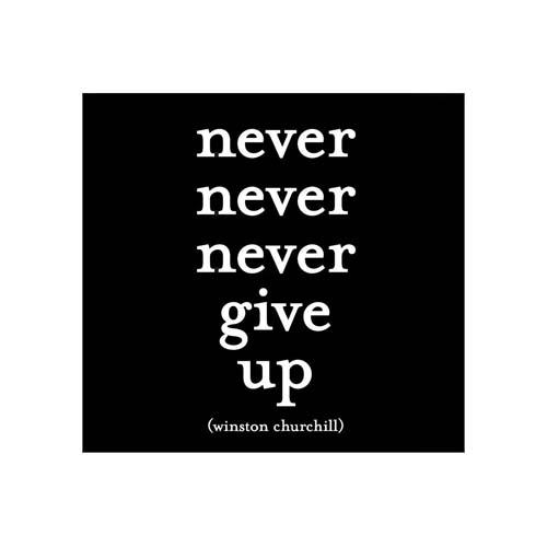 Magnet: Never Give Up