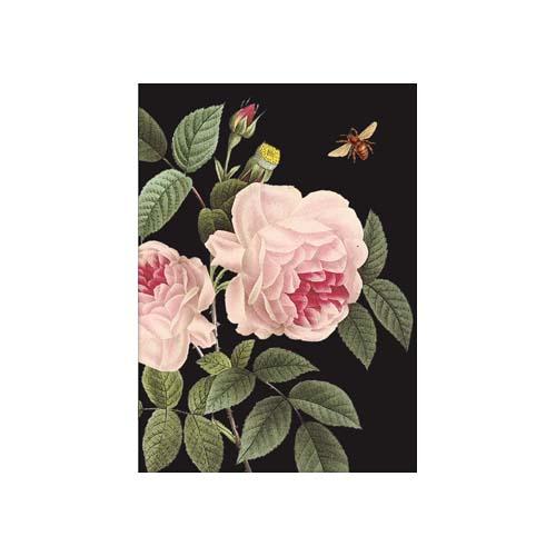  Mini Card : Pink Roses